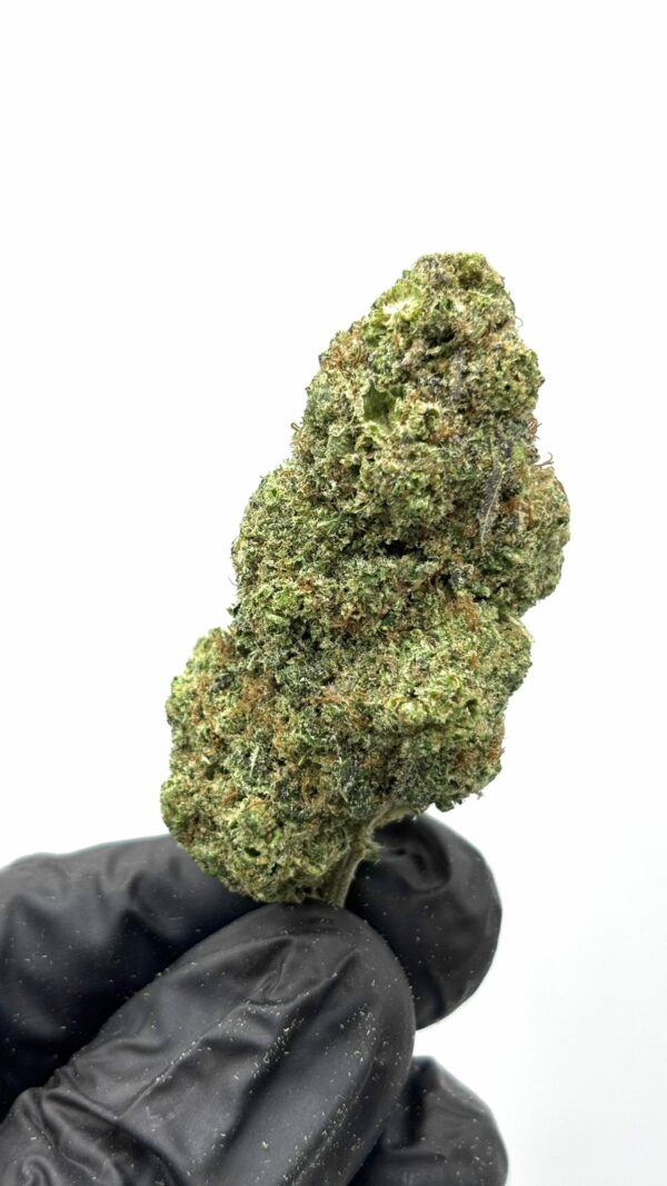Crystal Snow Hydro NL1 - Fleurs Indoor premium – Image 2