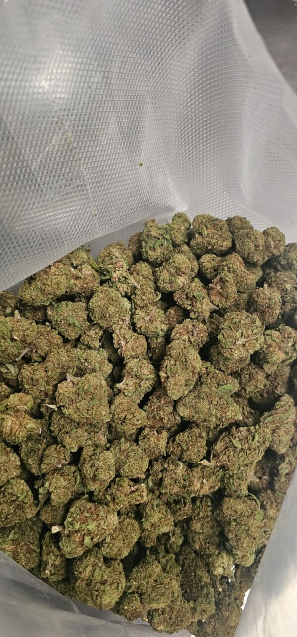 Lemon USA Greenhouse CBD