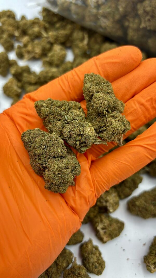 fleurs cbd BZ1
