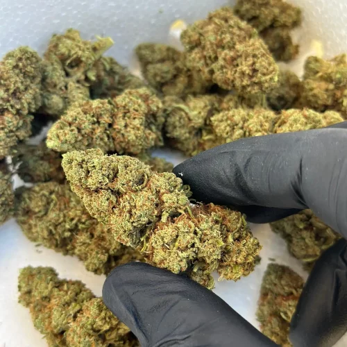 California-CBD
