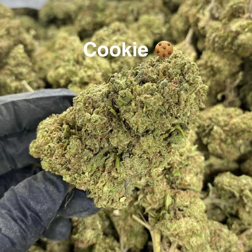 Cookie-GH-CBD