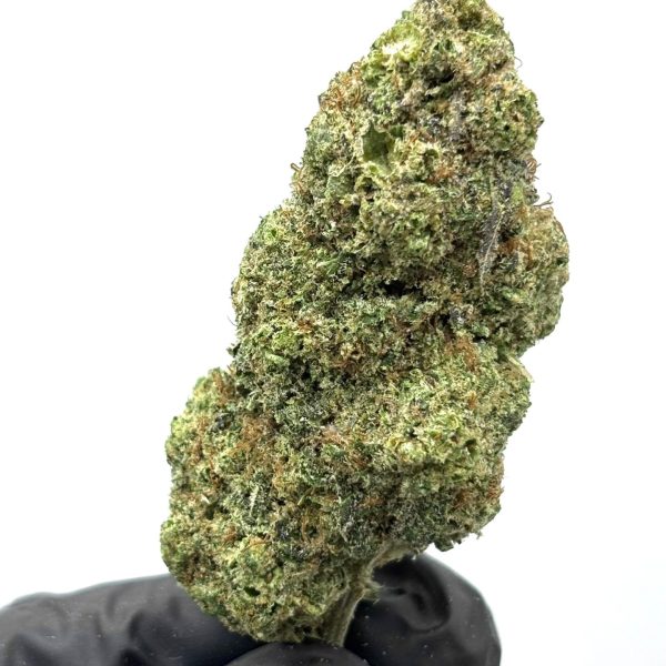 CBD B2B