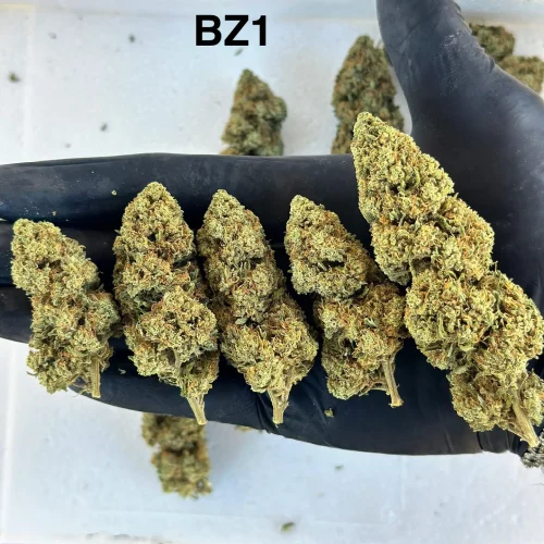 Fleurs-CBD-GH-BZ1 (1)