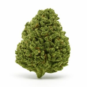 Magic Alien THV N10 – Fleur Indoor en vrac