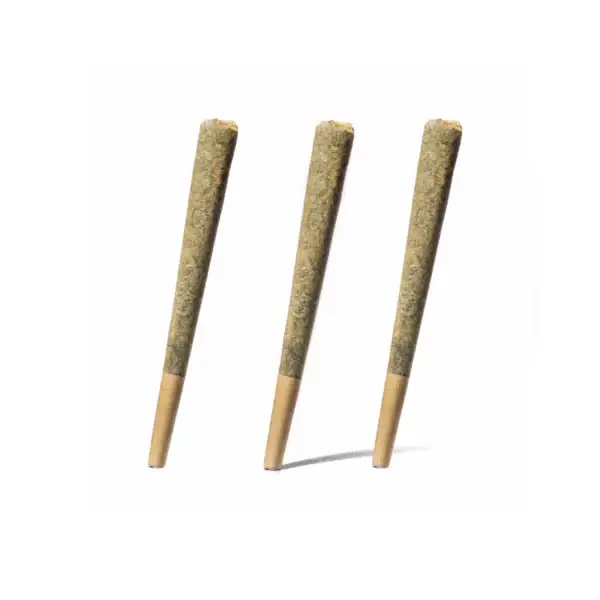 grossiste preroll CBD