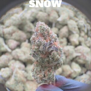Crystal Snow Hydro – Fleur CBD Indoor Hydroponique Premium
