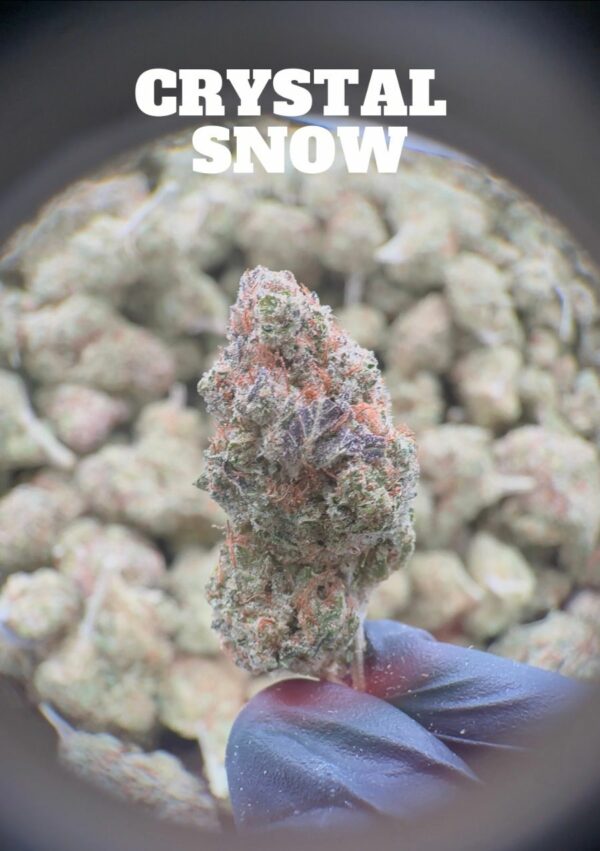 Crystal Snow Hydro – Fleur CBD Indoor Hydroponique Premium