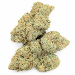 CBD B2B : Grossiste en fleurs, résines et produits CBD pour professionnels 6 Bruce Banner USA CBDx 25%