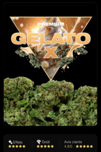 Gelato X CBD