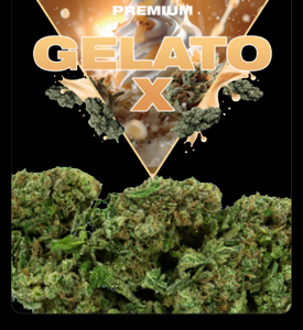 Amnesia CBD 2 Gelato X CBD